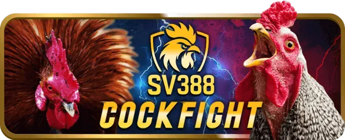 Cập nhật tính năng casino helo888 login